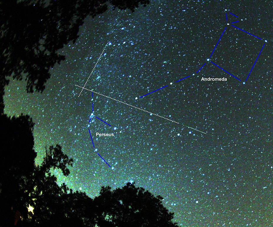 foto Col naso all\'insù, osservazione delle stelle cadenti