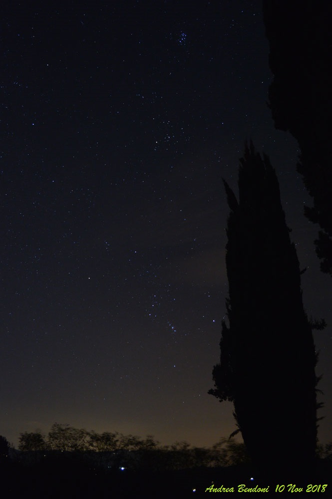 foto La via Lattea invernale ed il cipresso 