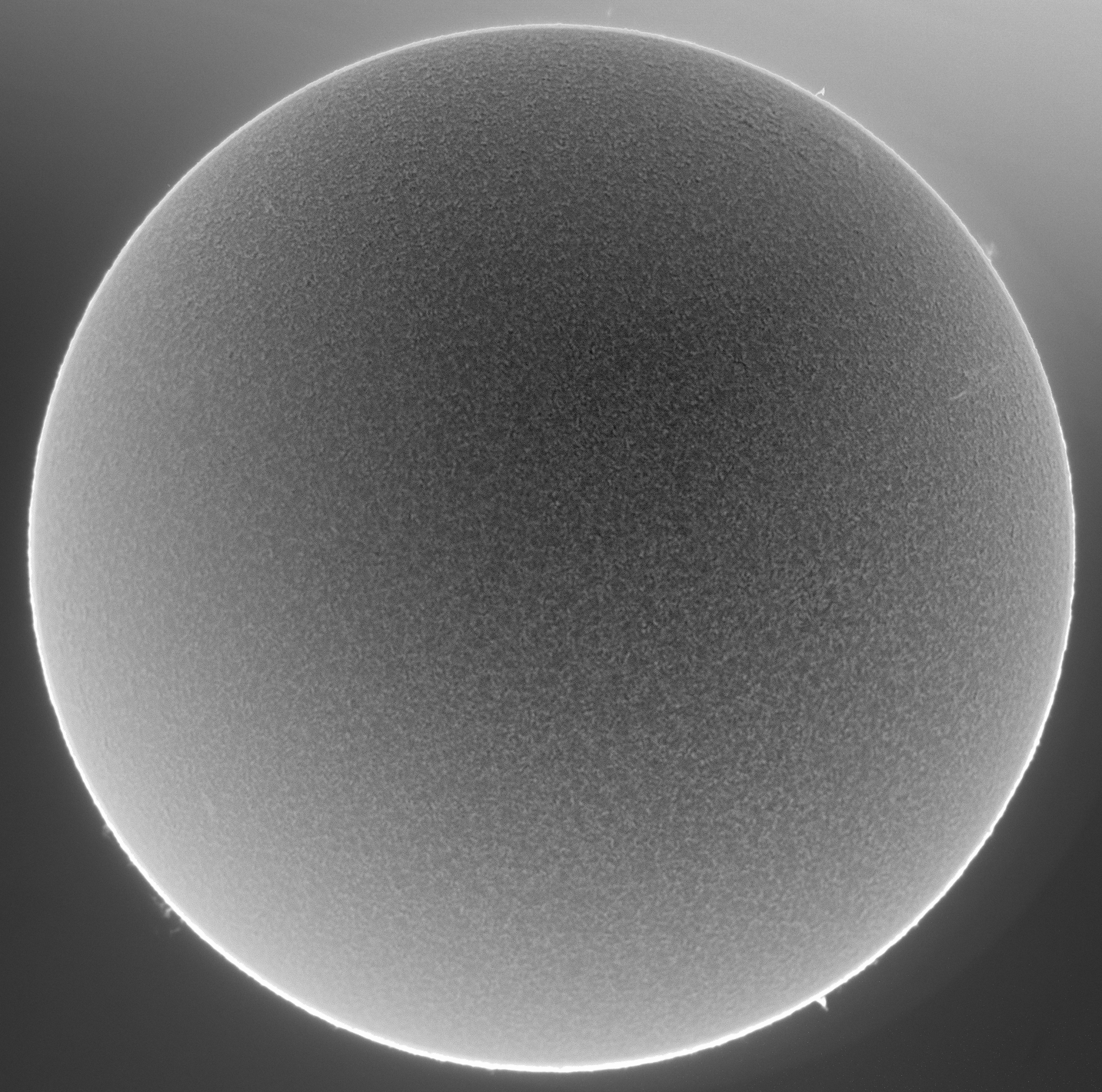 foto Sole inverso in H-alpha
